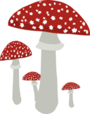 Mushrooms 4