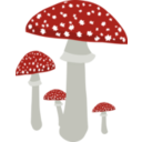 download Mushrooms 4 clipart image with 0 hue color