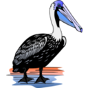 download Pelican clipart image with 180 hue color