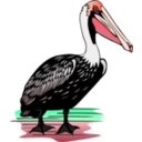 download Pelican clipart image with 315 hue color