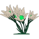 download Anemone Patens clipart image with 90 hue color