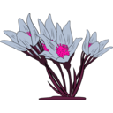 download Anemone Patens clipart image with 270 hue color