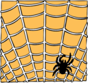 Spider On A Spider Web