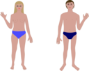 Human Body Man And Woman