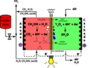 Direct Methanol Fuel Cell