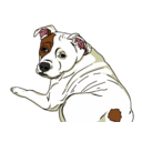 download Good Dog clipart image with 0 hue color