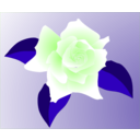 download Pink Rose clipart image with 135 hue color