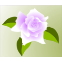download Pink Rose clipart image with 315 hue color
