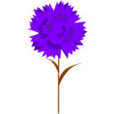 download Carnation clipart image with 270 hue color