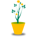 download Flower Pot clipart image with 45 hue color
