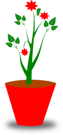 Flower Pot