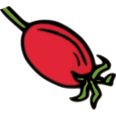 download Rose Hip Fruit clipart image with 0 hue color