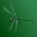 download Blue Dragonfly clipart image with 270 hue color
