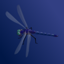 download Blue Dragonfly clipart image with 0 hue color