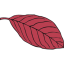 download Oval Leaf clipart image with 270 hue color