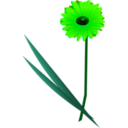 download Flowers Gerbera clipart image with 90 hue color