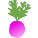 download Radish clipart image with 315 hue color