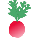 download Radish clipart image with 0 hue color