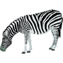 download Zebra clipart image with 135 hue color
