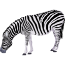download Zebra clipart image with 225 hue color