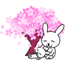 download Cherry Blossoms Rabbit clipart image with 315 hue color