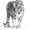 download Bengal Tiger clipart image with 180 hue color