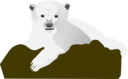 Knut The Polar Bear