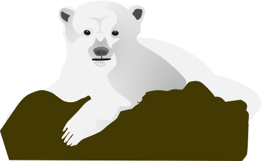 Knut The Polar Bear