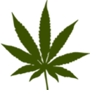 download Cannabis clipart image with 315 hue color