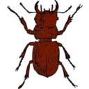 download Stag Beetle clipart image with 0 hue color