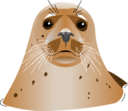 Seal Brown