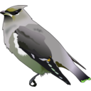 download Bohemian Waxwing clipart image with 45 hue color