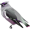 download Bohemian Waxwing clipart image with 270 hue color