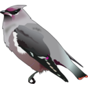 download Bohemian Waxwing clipart image with 315 hue color