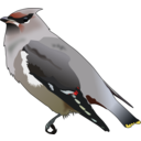 download Bohemian Waxwing clipart image with 0 hue color