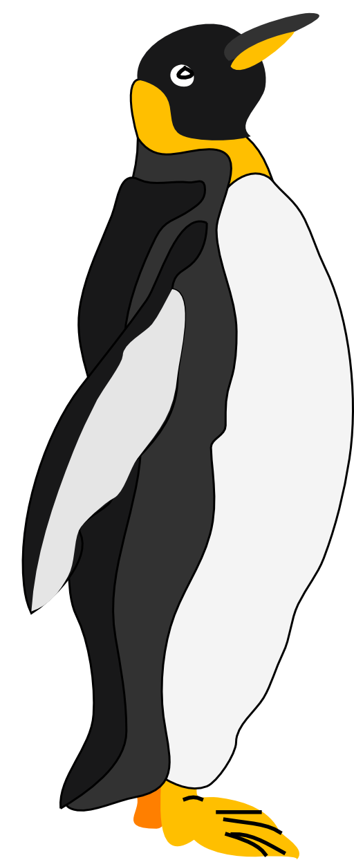 Architetto Pinguino 1