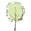 download Beech clipart image with 315 hue color