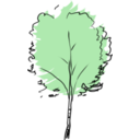 download Beech clipart image with 0 hue color