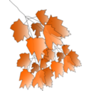 download Fall2010 4 clipart image with 0 hue color