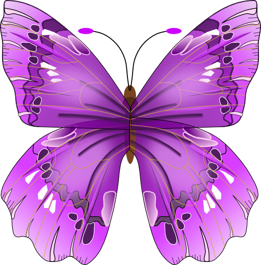 Butterfly Clipart I2clipart Royalty Free Public Domain Clipart