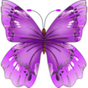 download Butterfly clipart image with 0 hue color