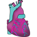 download Human Heart clipart image with 315 hue color
