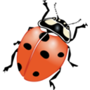 download Ladybug clipart image with 0 hue color