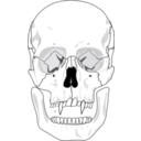 download Evil Skull clipart image with 45 hue color
