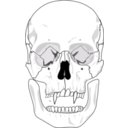 download Evil Skull clipart image with 90 hue color