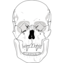 download Evil Skull clipart image with 180 hue color