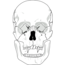 download Evil Skull clipart image with 270 hue color