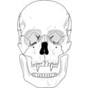 download Evil Skull clipart image with 0 hue color