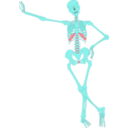 download Human Skeleton Outline clipart image with 135 hue color