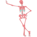 download Human Skeleton Outline clipart image with 315 hue color